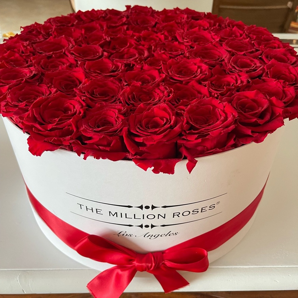 The Millions Roses